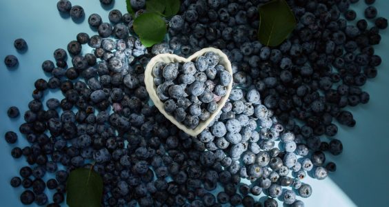 Aronia, un superaliment cu beneficii neașteptate pentru sănătate Aronia, un superaliment cu beneficii neașteptate pentru sănătate
