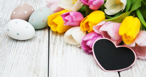 7 februarie: Ziua Trandafirilor și semnificația ei specială