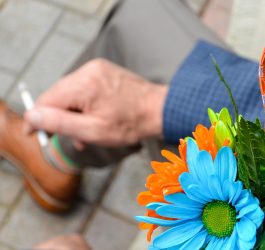 Ghid pentru plantarea și îngrijirea crizantemelor
