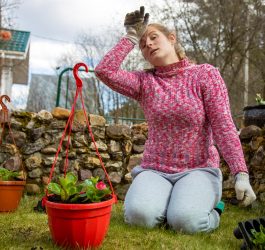 Cele mai bune trucuri pentru o grădină ecologică