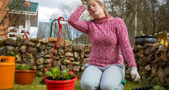 Cele mai bune trucuri pentru o grădină ecologică