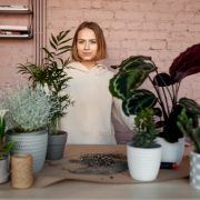 10 plante de apartament care sunt aproape imposibil de ucis