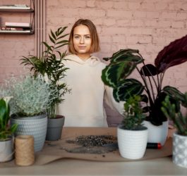 10 plante de apartament care sunt aproape imposibil de ucis